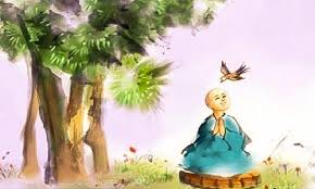 Lòng Tư bi của Bậc Giác ngộ